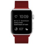 For Apple Watch Series 8&7 41mm / SE 2&6&SE&5&4 40mm / 3&2&1 38mm Milanese Loop Magnetic Stainless Steel Watch Band(Rose Red)